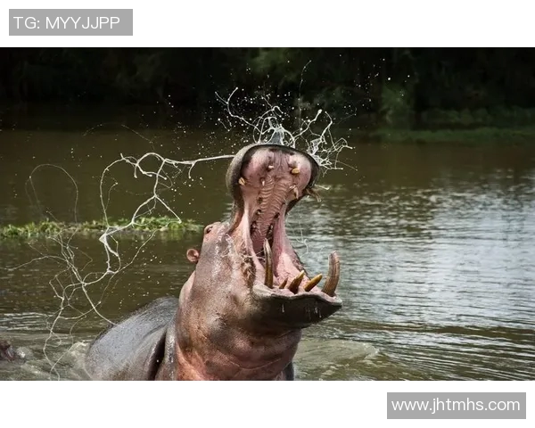 17号足球明星空翻绝技展现惊人技巧与激情瞬间