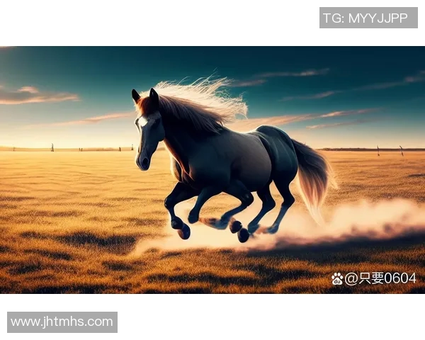 足球明星与放羊娃的奇妙邂逅高清图片展现梦想与现实的交融